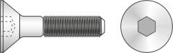 Schaefer-Peters Surub Cap Inecat Locas Inbus 7991 Inox A2-M8 X 50 (79912850S)
