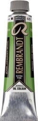 Rembrandt 1056252 Маслена боя Cinnabar Green Medium 40 ml 1 бр (01056252)