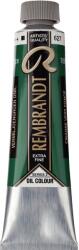Rembrandt 1056272 Vopsea cu ulei Cinnabar Green Deep 40 ml 1 buc (01056272)