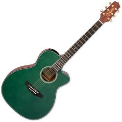 Takamine LTD2025 Gloss Antique Evergreen Chitară electro-acustică