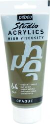 Pébéo 69.2049 АКРИЛНА боя 64 Raw Umber 100 ml 1 бр (69.2049)