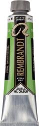 Rembrandt 1056142 Vopsea cu ulei Permanent Green Medium 40 ml 1 buc (<![CDATA[01056142]]>)