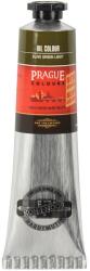 KOH-I-NOOR 0161750301TB Vopsea cu ulei Olive Green Light 40 ml 1 buc (0161750301TB)