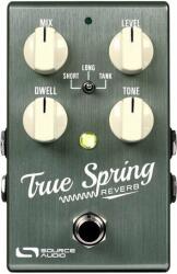 Source Audio SA 247 One Series True Spring Reverb Efect de chitară (SR-SA-247-OS-TSR)
