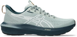 ASICS GT-1000 14 TR férfi futócipő 42.5 (1011C131-300-9) Férfi futócipő