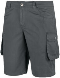 ALPINUS Férfi Askja rövidnadrág XL szürke