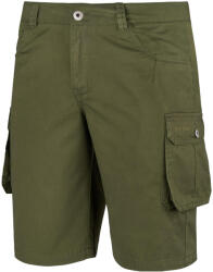 ALPINUS Férfi Hekla rövidnadrág M zöld