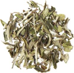 tea exclusive Bio Pai Mu Tan fehér tea - 100 g