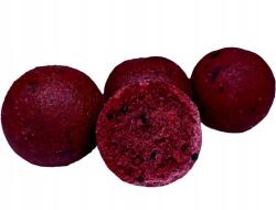 LK Baits Euro Economic Boilies Fűszeres Garnéla 5kg, 24mm (8595602006892)