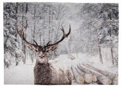  Takaró 130x170cm , szarvas havas tájon