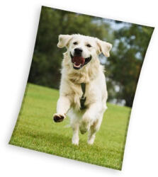  Kutyás Happytail Retriever coral fleece polár takaró 150x200cm - tisztitoszertrendelek