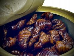 LK Baits Natur konzerv selyemhernyó 35g (8595602027941)