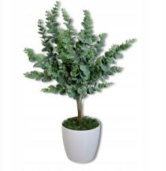 Inspiruj Eukaliptusz cserépben 58cm Szobanövények otthonra Irodai dekoráció (HD00763)