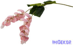  Medinilla virágos ág 110cm - Halvány Rózsaszín