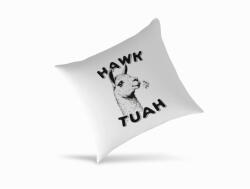  Hawk Tuah láma párna