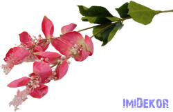  Medinilla virágos ág 110cm - Rózsaszín