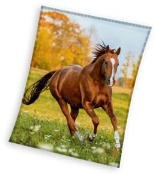  Lovas Gallop coral fleece polár takaró 150x200cm (CBX231108KNL) - sandori