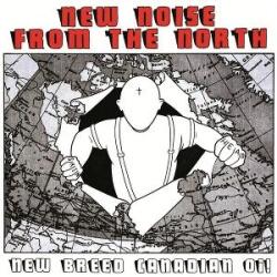 V/A New Noise From the Nor