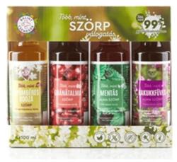 Bálint csemegék Bodzás válogatás Bálint szörp (4 x 100 ml)