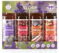 Bálint csemegék Levendulás válogatás Bálint szörp (4 x 100 ml)