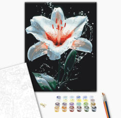 Alkotásutca Liliom - Számfestő készlet kereten 40x50