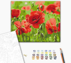 Alkotásutca Vörös szimfónia - Számfestő készlet kereten 40x50