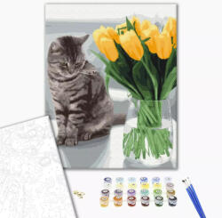 Alkotásutca Cica tulipánokkal - Számfestő készlet kereten 40x50