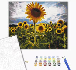 Alkotásutca Kitűnő napraforgó - Számfestő készlet kereten 40x50