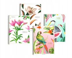 Astra Shkolyaryk Spirálfüzet A4+, 80 lap, négyzet alakú, molymix (6592)