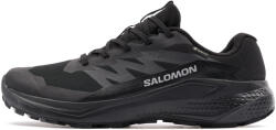 Salomon Alphaglide Gore-Tex (20779)