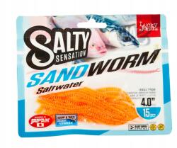 Lucky John Salty Sensation Sandworm 2" F41 (140501-F41)