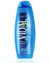 Vidal Gel de dus 500 ml Polar Ice