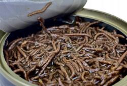 LK Baits Natur konzerv vérférgek 100g (8595602027910)