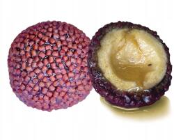 LK Baits Nutrigo Pellets Chilli Halibut 24mm 250ml (04170116)