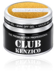 Kenzico Gold Paint Gel Gold Paint Gel Festő Zselé PG 5g