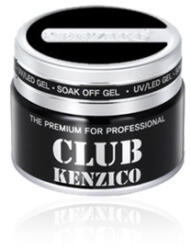 Kenzico Black Paint Gel Black Paint Gel Festő zselé PB 5g