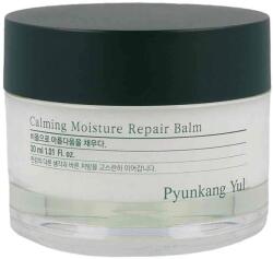 Pyunkang Yul Calming Moisture Repair Balm - Balsam Calmant Și Regenerant 30ml