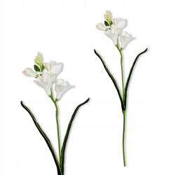 Inspiruj Pianhabsz Fézia Virágok Fézia Ágak Művirágok Vázába 59cm (HD00686)