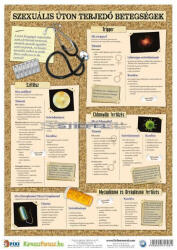 Stiefel Nemi betegségek 2. -3. (vírusok) / (bakteriális fertőzések) tanulói munkalap