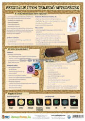 Stiefel Szexuális úton terjedő betegségek / Egészséges életmód tanulói munkalap