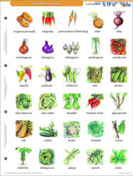 Stiefel Zöldségek + munkaoldal tanulói munkalap