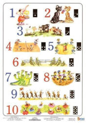 Stiefel Számtabló + Színtabló tanulói munkalap