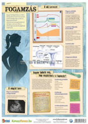 Stiefel Fogamzás / fogamzásgátlás tanulói munkalap duo