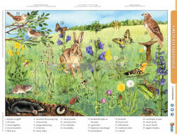 Stiefel A mező életközössége + munkaoldal tanulói munkalap