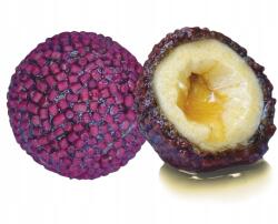 LK Baits Nutrigo Pellets Vörös Halibut 20mm 200ml (04170117)