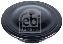 Febi Bilstein Saiba arc FEBI BILSTEIN 19381 - piesar