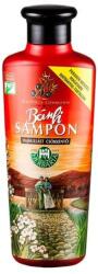 Herbária BÁNFI Sampon hajhullás ellen 250 ml