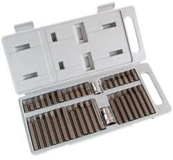 Extol Bit Készlet Műanyag Dobozban Cv40 Db-os (6640)