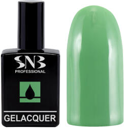 SNB Гел лак snb 273 НАШИРА, зелен, 15 мл (gl273) - topmall