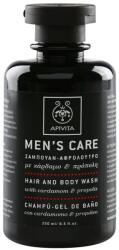 APIVITA Men's Care Hair and Body Wash with Cardamon & Propolis sampon és tusfürdő gél 2 in 1 250 ml
